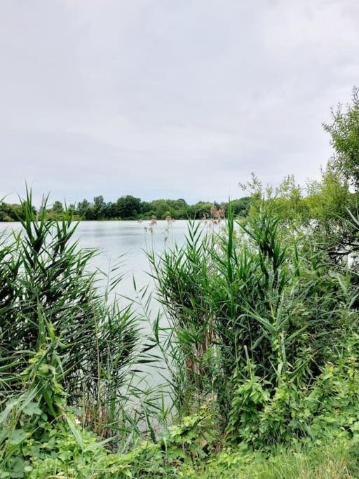 Zentrale Ferienwohnung - Direkt Am See Und Schloss Schwerin  Zewnętrze zdjęcie