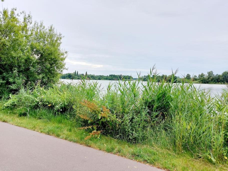 Zentrale Ferienwohnung - Direkt Am See Und Schloss Schwerin  Zewnętrze zdjęcie